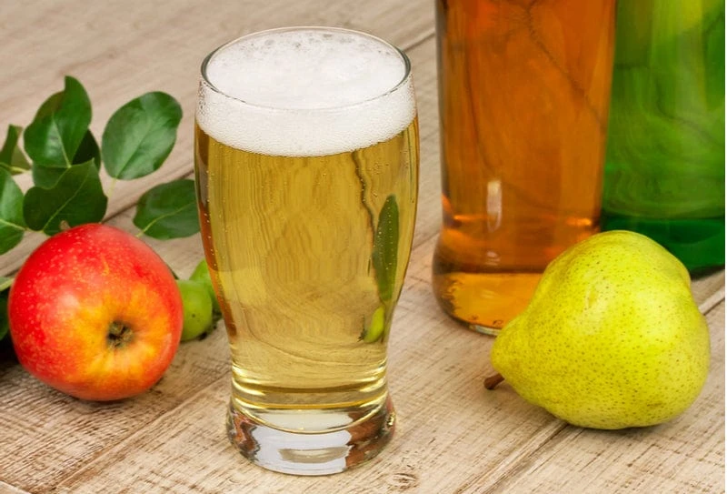 Gloucester Select Perry Cider Bundle (6 Trees) 1 Gloucester Select Perry Cider Bundle (6 Trees)