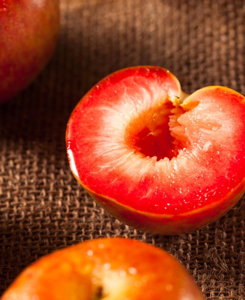 Dapple Dandy Pluot 1 Dapple Dandy Pluot